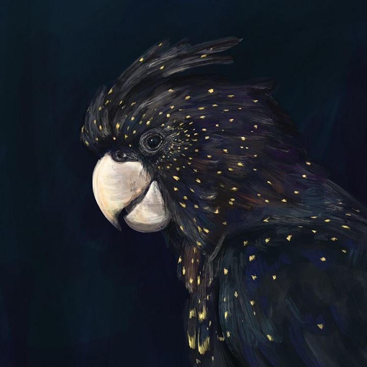 picture of Beak-Bird-Feather-Water-Organism-Wing-Falconiformes---1315338075294008