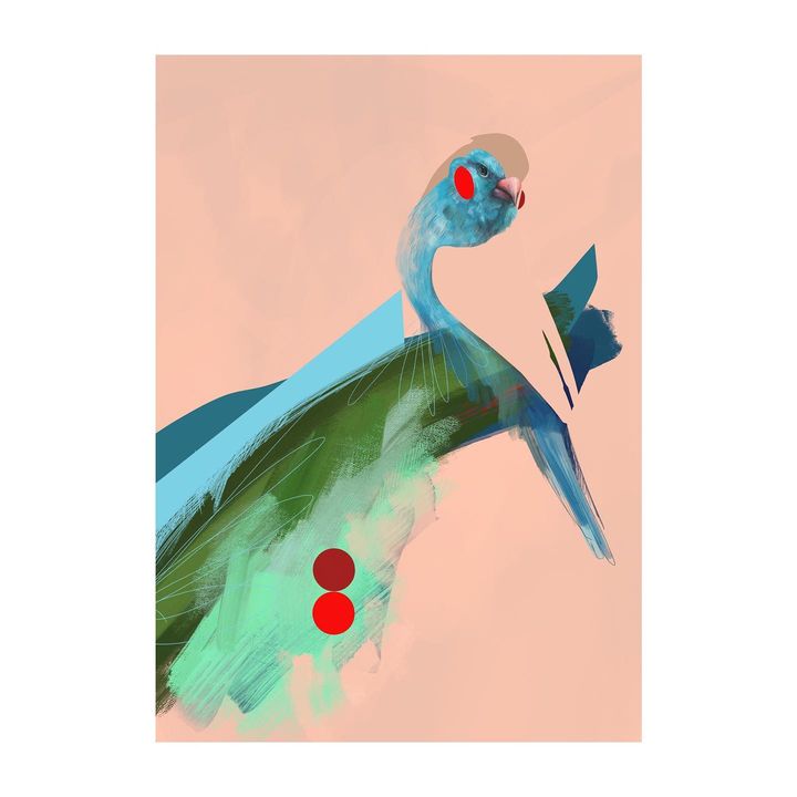 picture of Bird-Beak-Creative arts-Feather-Art-Hummingbird-Painting-Wing-Seabird-1802338726593938