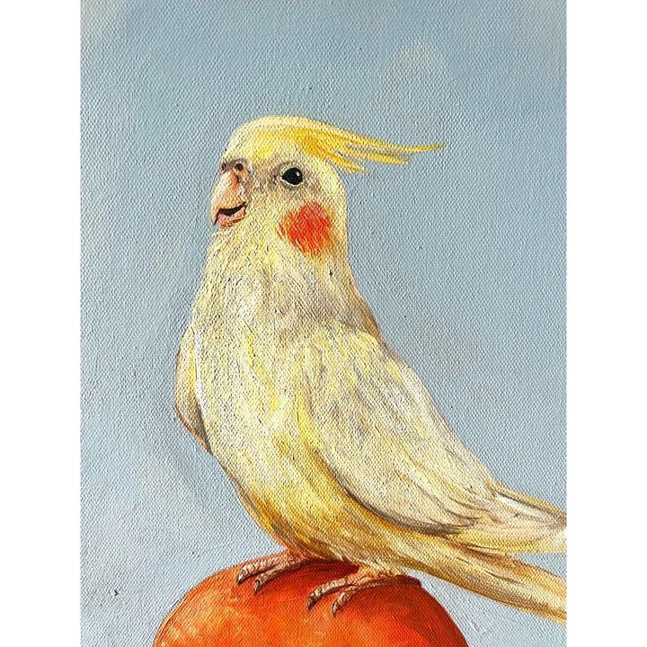 picture of Bird-Beak-Feather-Songbird-Pet supply-Wing-Perching bird-Finch-Painting-619924606812471