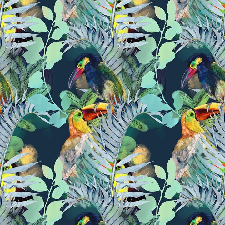 picture of Bird-Beak-Piciformes-Feather-Wildlife-Plant-Illustration-Toucan-Pattern-1568600719967741