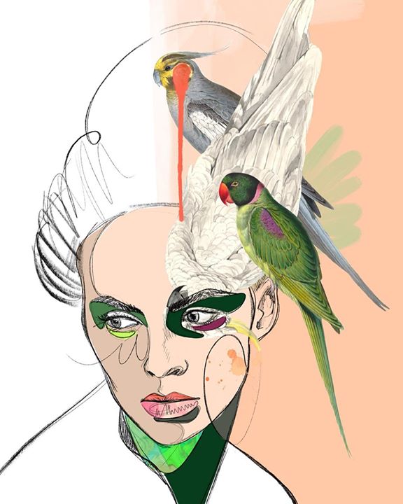 picture of Bird-Illustration-Parrot-Wing-Beak-Parakeet-Drawing-Art-Budgie-1201105653383918