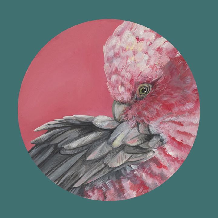 picture of Bird-Illustration-Pink-Flamingo-Water bird-Beak----1426586817502466