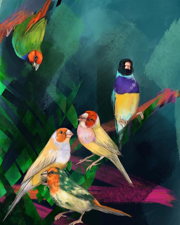 picture of Bird-Painting-Finch-Beak-Songbird-Adaptation-Watercolor paint-European robin-Perching bird-29162-62661