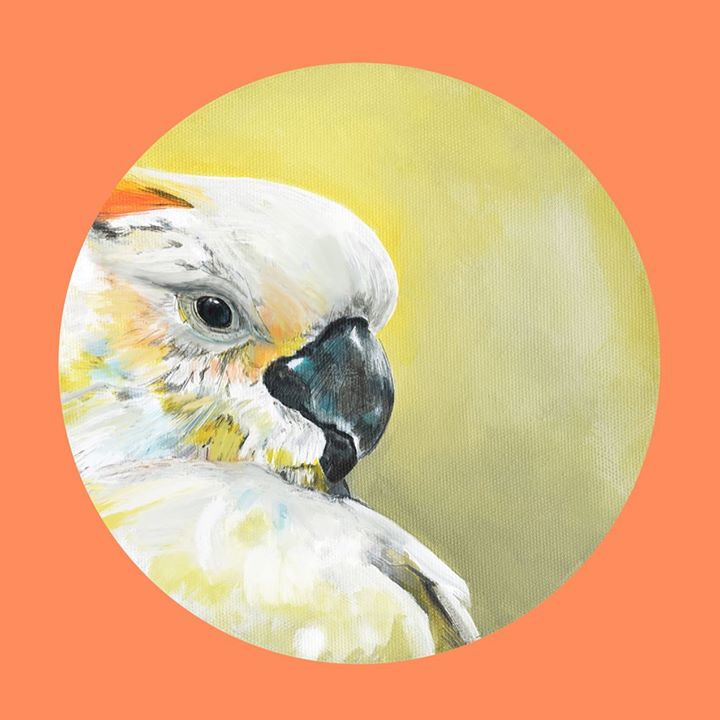 picture of Bird-Parrot-Cockatoo-Parakeet-Watercolor paint-Beak-Illustration-Cockatiel-Budgie-1426586817502466