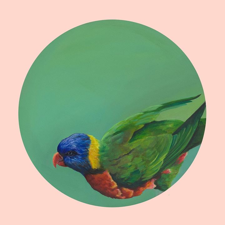 picture of Bird-lorikeet-Green-Parrot-Beak-Lovebird-Plate-Illustration-Parakeet-1426586817502466