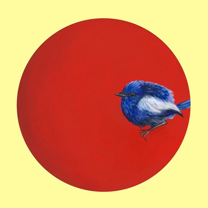 picture of Blue-Red-Bird-Illustration-Circle-Indigo bunting-Perching bird-Songbird-Bluebird-1426586817502466