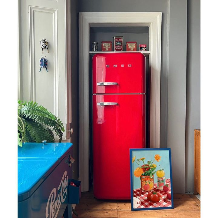 picture of Cabinetry-Building-Door-Blue-Fixture-Orange-Refrigerator-Plant-Kitchen appliance-692439189561012