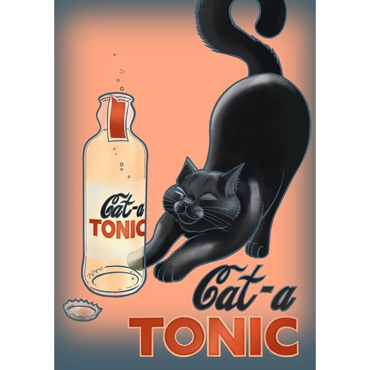 picture of Cat-Felidae-Black cat-Small to medium-sized cats-Poster-Bottle-Liqueur---1562261857268294