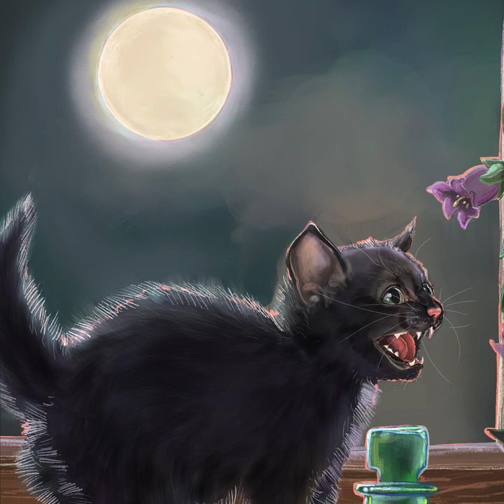 picture of Cat-Moon-Lighting-Felidae-Organism-Window-Carnivore-Bombay-Small to medium-sized cats-759717829499814
