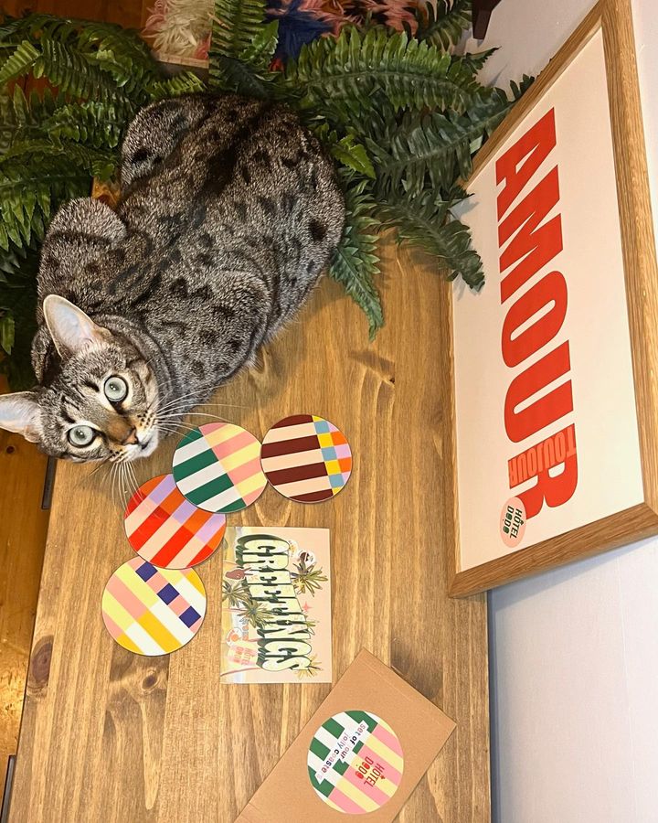 picture of Christmas ornament-Wood-Cat-Carnivore-Felidae-Whiskers-Holiday ornament-Toy-Plant-780326450772285