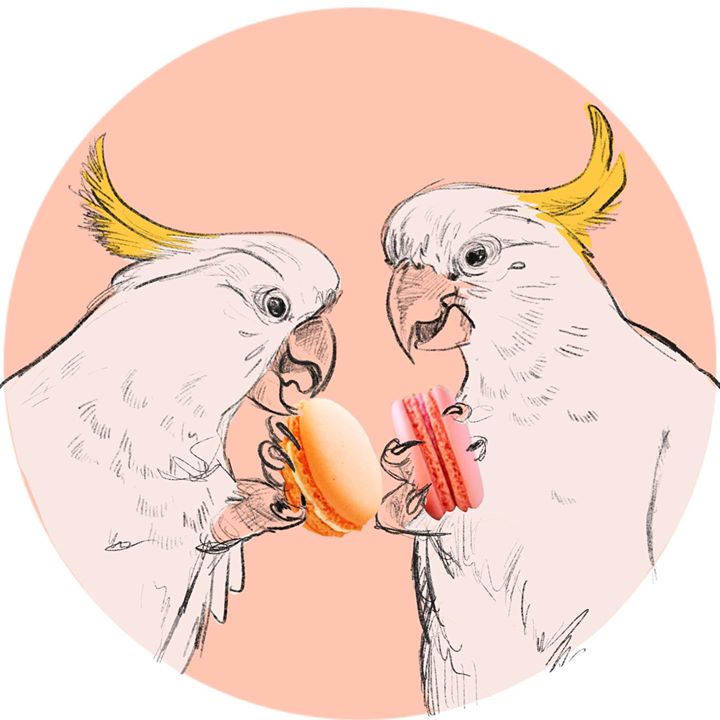 picture of Cockatoo-Bird-Parrot-Cockatiel-Illustration-Cartoon-Clip art-Budgie-Parakeet-1288427231318426