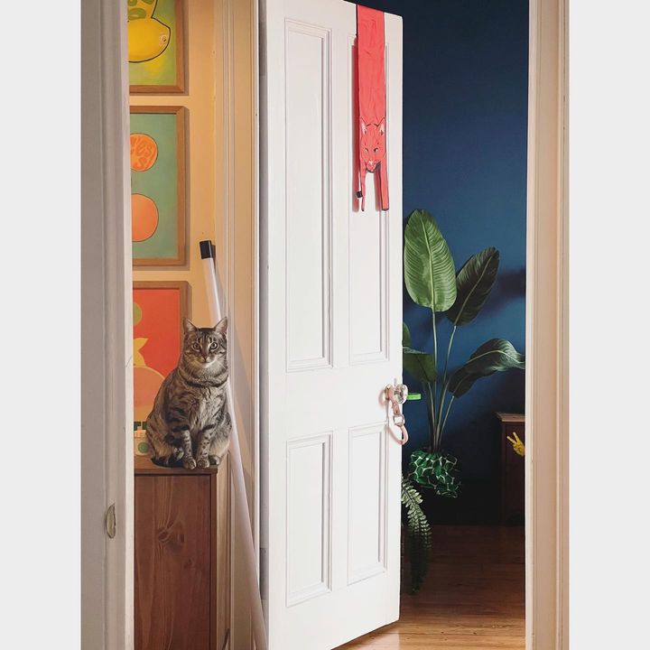 picture of Door-Wood-Window-Interior design-Fixture-Plant-Rectangle-Home door-Building-648469907291274