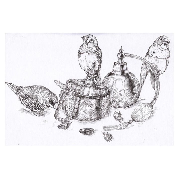 picture of Drawing-Sketch-Illustration-Tortoise-Teapot-Coloring book-Line art-Serveware-Tableware-1598497916978021