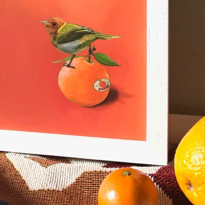 picture of Food-Bird-Valencia orange-Clementine-Rangpur-Fruit-Orange-Tangerine-Bitter orange-634458645359067