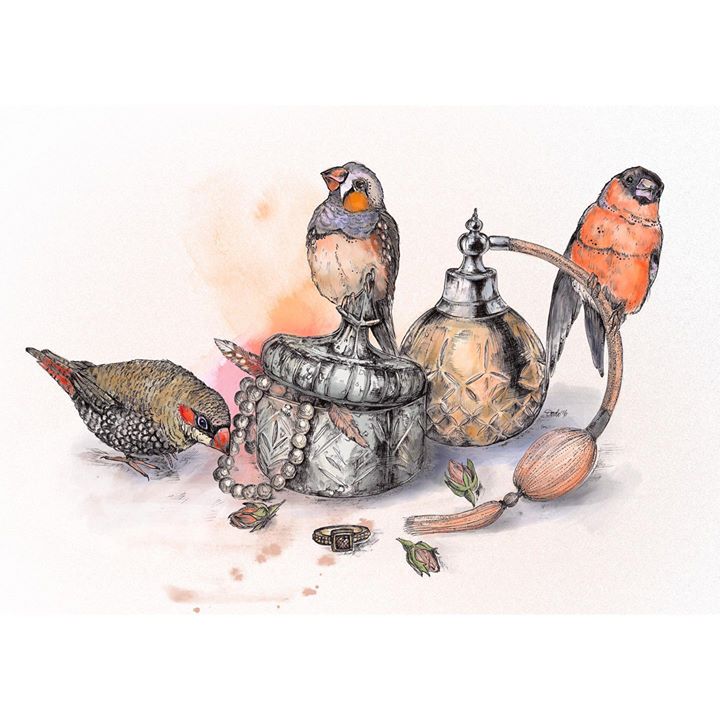 picture of Illustration-Bird-Partridge-Drawing-Still life-European robin-Sketch---1598497870311359