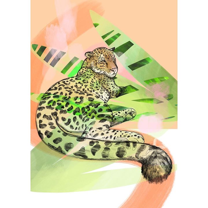 picture of Jaguar-Felidae-Leopard-Wildlife-African leopard-Big cats-Terrestrial animal-Carnivore--1534504393377374