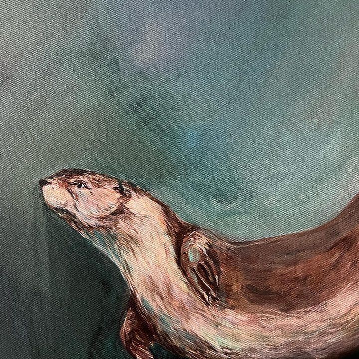 picture of Painting-Whiskers-California sea lion-Art-Seal-Mustelidae-Steller sea lion-Marine biology-Illustration-2174540822707058