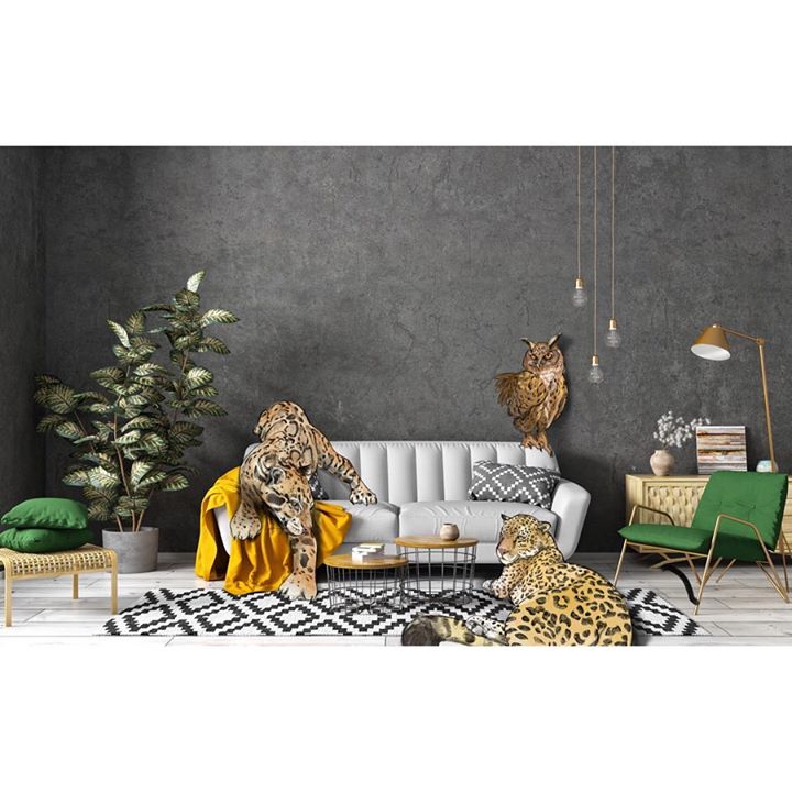 picture of Yellow-Table-Room-Furniture-Felidae-Interior design-Jaguar-Organism-Couch-1574373296057150